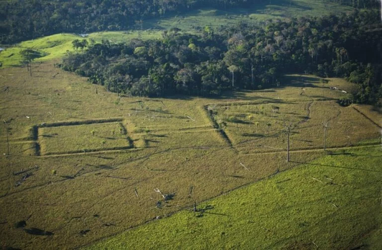 As complexas sociedades pré-coloniais e suas cidades milenares revelam uma Amazônia densamente habitada antes da chegada dos portugueses