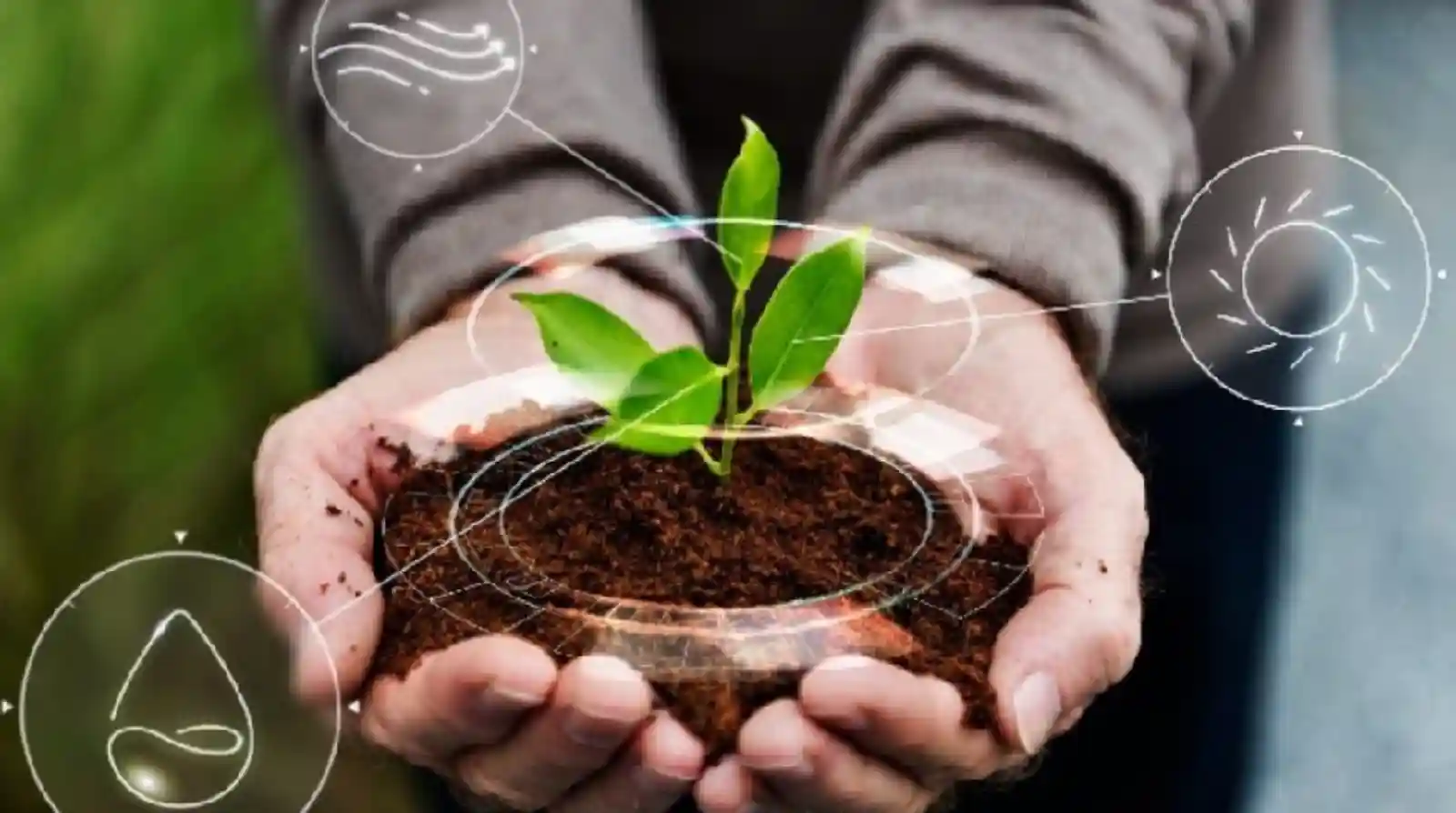 How Amazon Farm Waste Is Becoming Raw Material for a Circular Bioeconomy