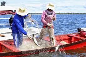 Pescadores do Tapajós criam reserva para proteger os rios