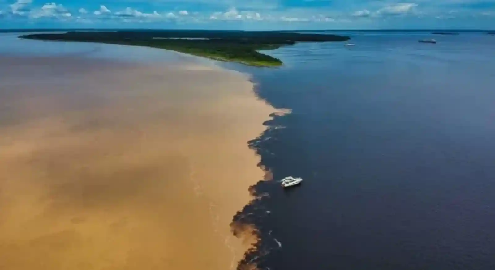 O Espetáculo do Encontro das Águas em Manaus Atrai Milhares de Turistas e Revela a Complexidade da Biodiversidade Amazônica